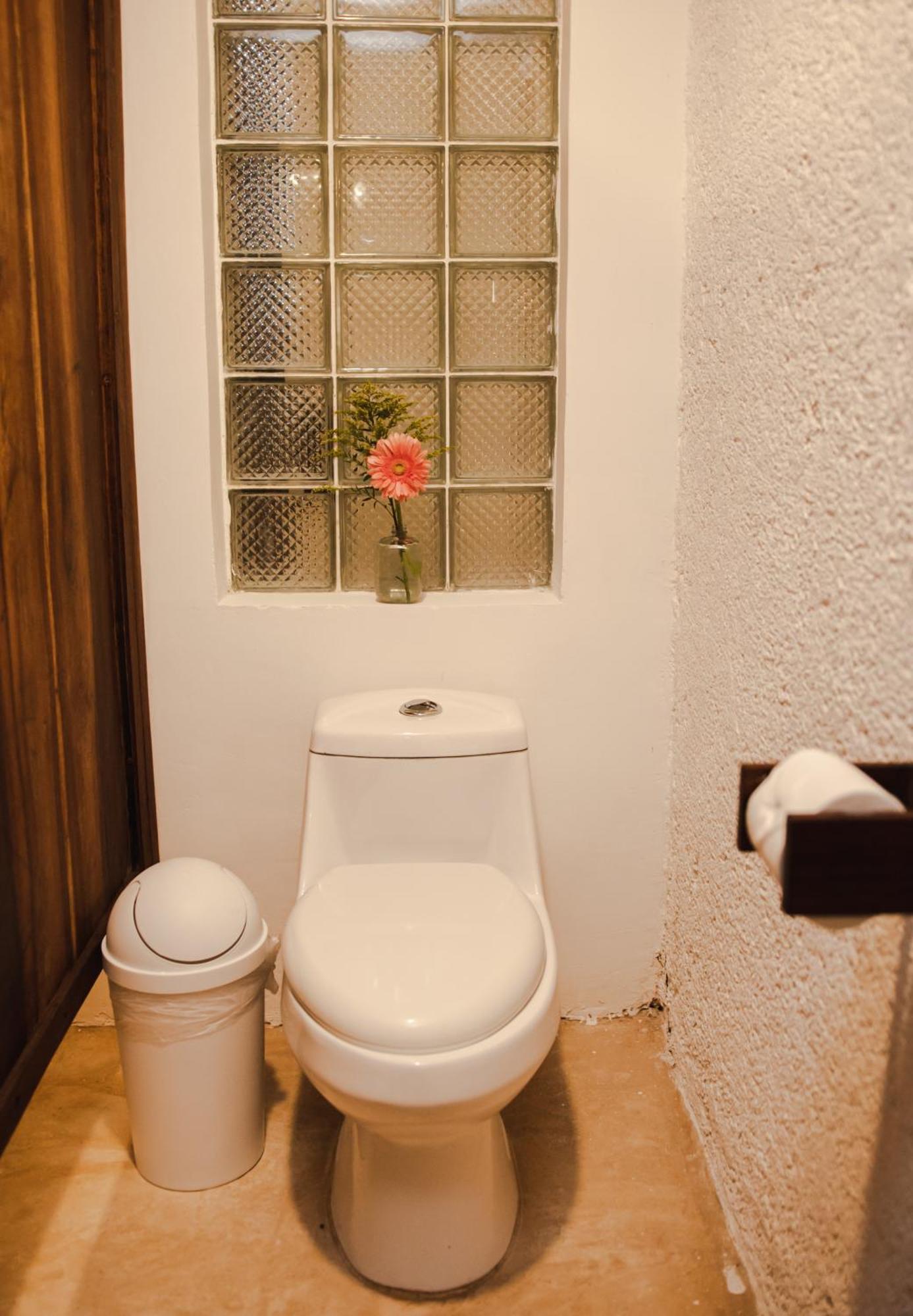 Hotel Selva Maya בקאלאר מראה חיצוני תמונה